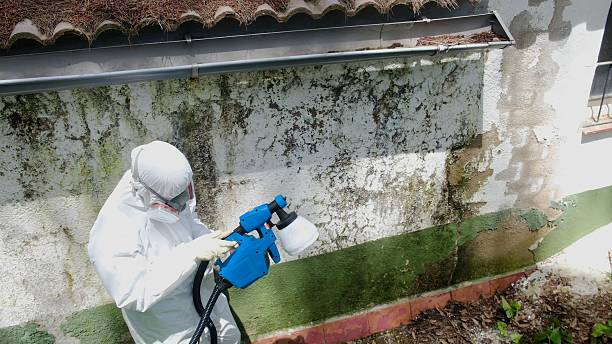 Top rated local Crawl Space Mold Remediation specialists in Brunswick, MD